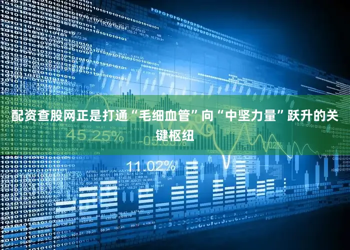 配资查股网正是打通“毛细血管”向“中坚力量”跃升的关键枢纽
