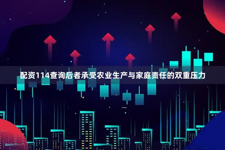 配资114查询后者承受农业生产与家庭责任的双重压力