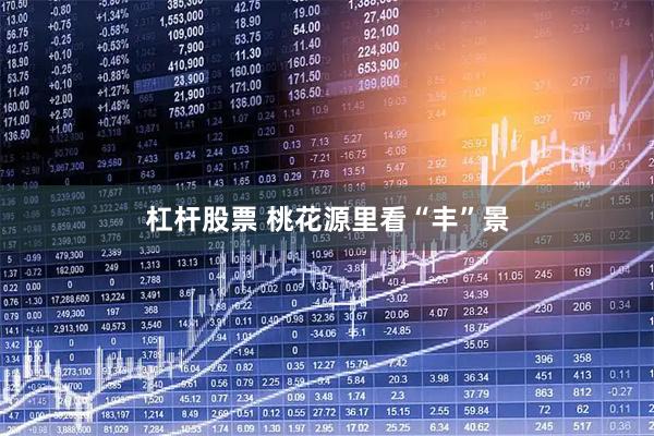 杠杆股票 桃花源里看“丰”景
