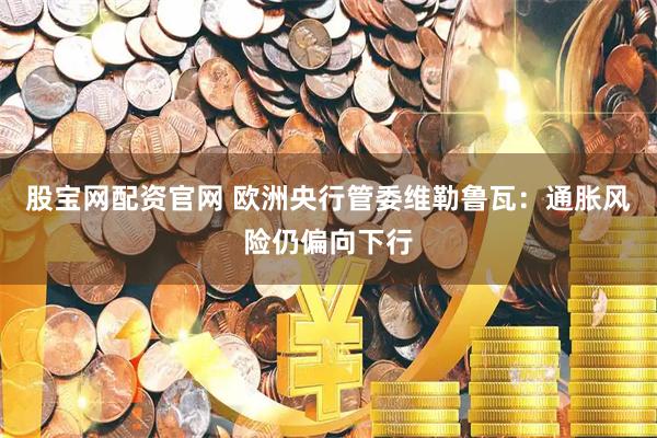 股宝网配资官网 欧洲央行管委维勒鲁瓦：通胀风险仍偏向下行