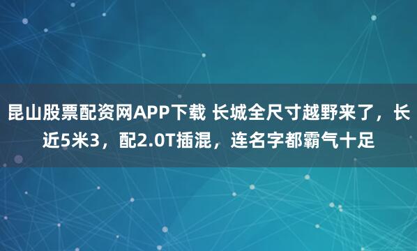 昆山股票配资网APP下载 长城全尺寸越野来了，长近5米3，配2.0T插混，连名字都霸气十足