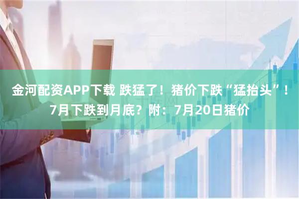 金河配资APP下载 跌猛了!猪价下跌“猛抬头”!7月下跌到月底?附:7月20日猪价