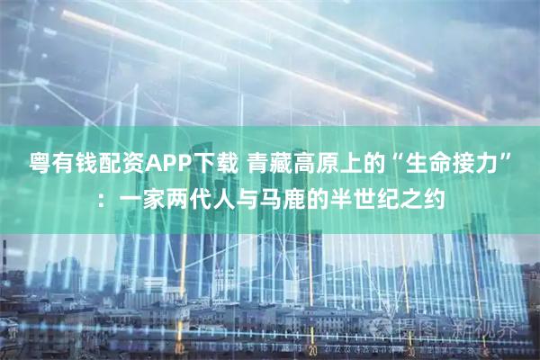 粤有钱配资APP下载 青藏高原上的“生命接力”：一家两代人与马鹿的半世纪之约