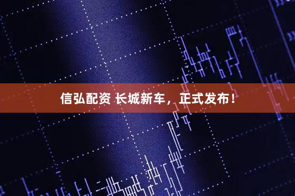 信弘配资 长城新车，正式发布！